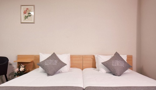 Habitación Deluxe con 2 camas individuales