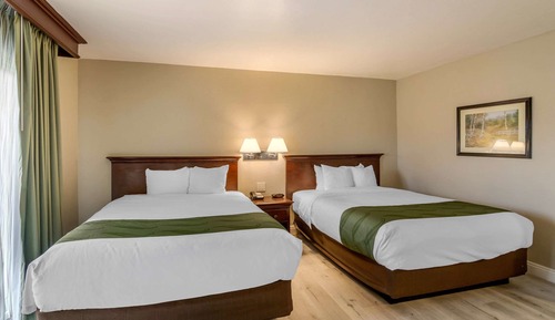Habitación, 2 camas de matrimonio, no fumadores