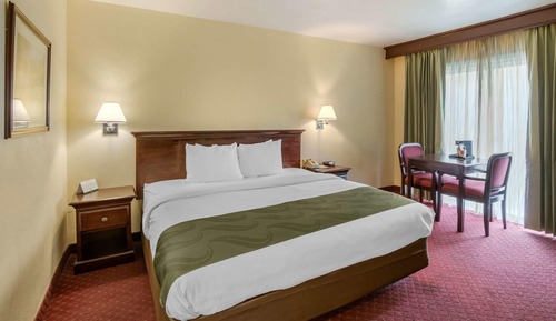 Habitación estándar, 1 cama de matrimonio grande, no fumadores