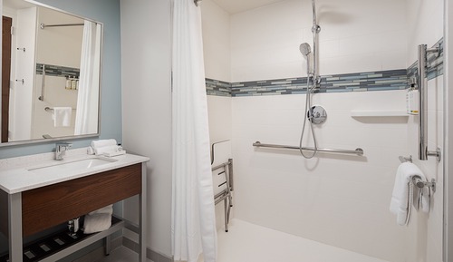 Suite, 1 cama de matrimonio grande, accesible en silla de ruedas (Transfer Shower)