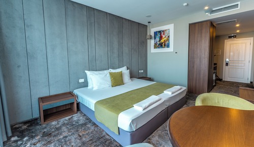 Habitación Deluxe, vistas al parque