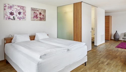 Estudio junior, 1 cama de matrimonio grande, vistas al lago