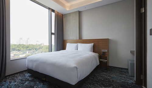 Suite, 1 King Bed