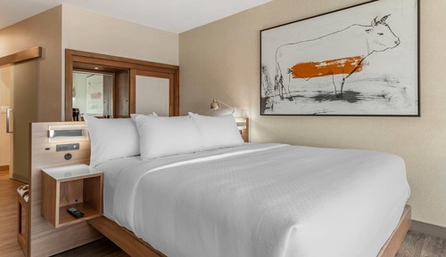 Habitación estándar, 1 cama de matrimonio grande, no fumadores