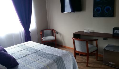 Suite estudio junior, 1 cama de matrimonio grande
