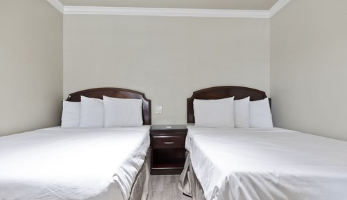 Suite estudio Deluxe, varias camas, no fumadores, cocina básica