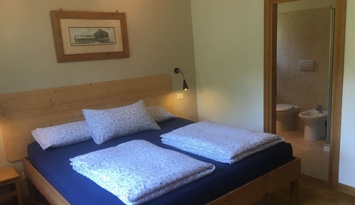 Habitación con 1 cama doble o 2 individuales, 1 cama de matrimonio, vistas al jardín