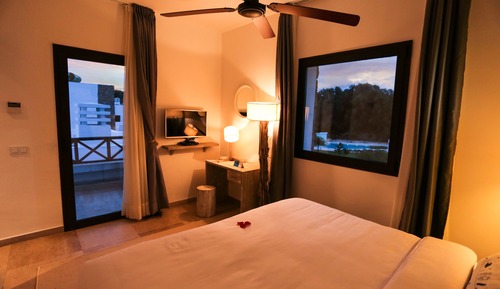 Habitación clásica, 1 cama doble, no fumadores, vistas a la piscina