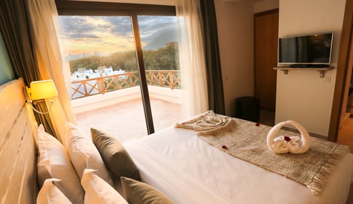 Suite Premium, varias camas, no fumadores, vistas a la piscina