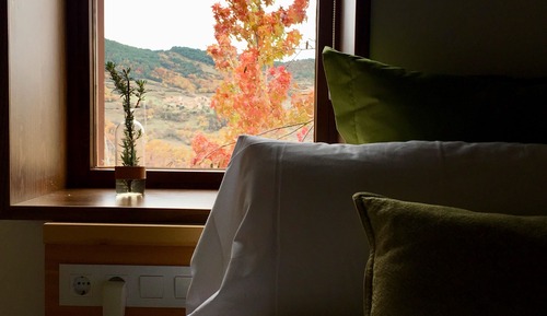 Habitación doble, baño privado, vistas a la montaña