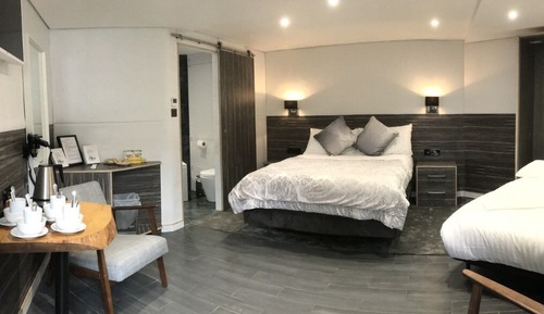 Habitación ejecutiva doble, baño privado, vistas al patio