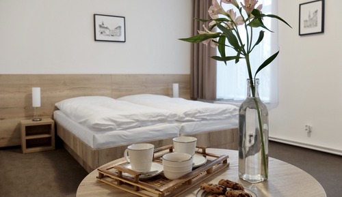 Habitación estándar con 1 cama doble o 2 individuales