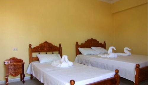 Habitación básica con 1 cama doble o 2 individuales
