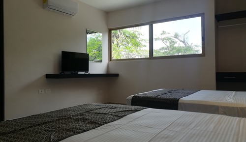 Habitación doble, no fumadores