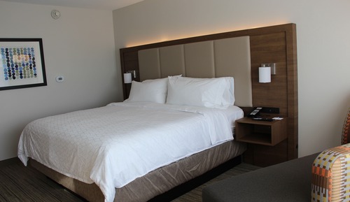 Habitación estándar, 1 cama de matrimonio grande (Walk-In Shower)