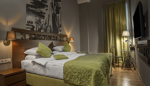 Habitación estándar con 1 cama doble o 2 individuales