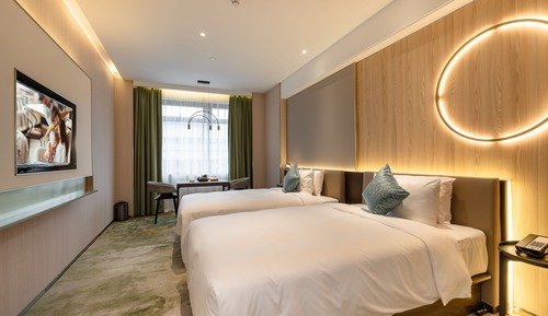 Habitación Deluxe con 2 camas individuales