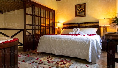 Love Suite