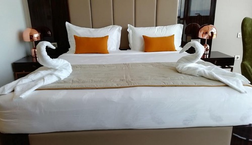 Habitación estándar con 1 cama doble o 2 individuales