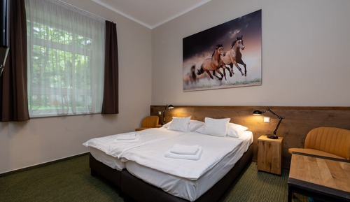 Habitación estándar, vistas al jardín