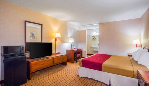 Habitación estándar, 1 cama de matrimonio grande, no fumadores