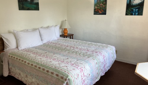 Habitación individual estándar, 1 cama de matrimonio grande
