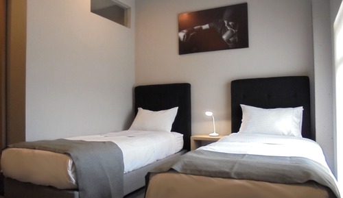 Habitación estándar con 2 camas individuales