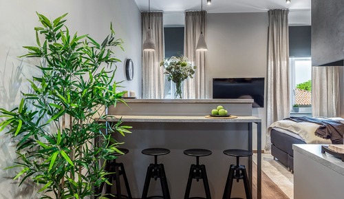 Suite estudio Deluxe (3rd floor)