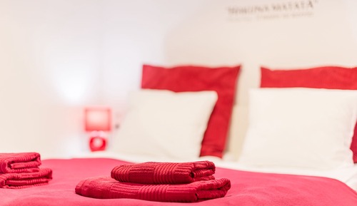 Apartamento de diseño, 1 cama de matrimonio con sofá cama (RED)