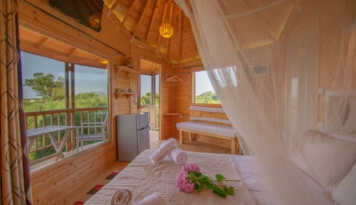 Casa en un árbol