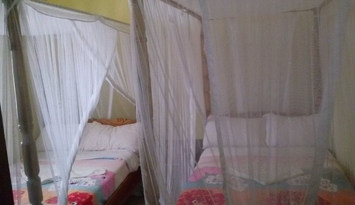 Habitación básica con 1 cama doble o 2 individuales