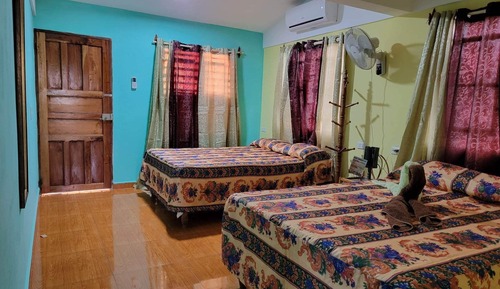 Habitación básica con 1 cama doble o 2 individuales, vistas al jardín