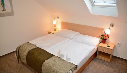 Habitación con 1 cama doble o 2 individuales (14)