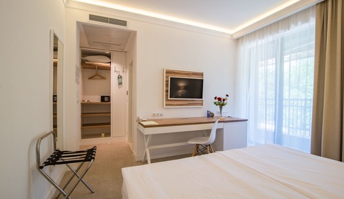 Habitación estándar con 1 cama doble o 2 individuales, vistas al parque