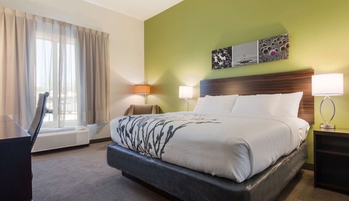 Habitación, 1 cama de matrimonio grande, accesible para personas con discapacidad, no fumadores