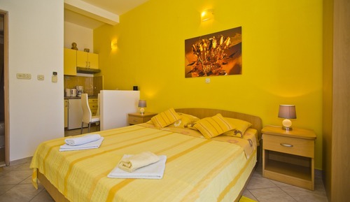 Suite estudio Gallery (The Flame of Yellow Roses)