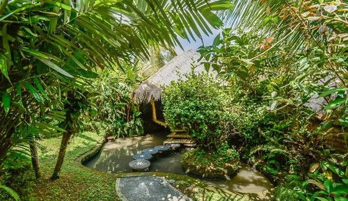 Suite Deluxe