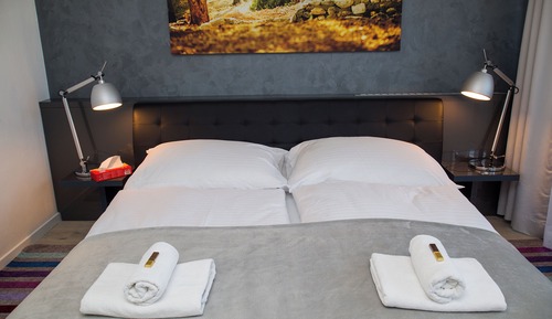 Habitación Premium, 1 cama de matrimonio
