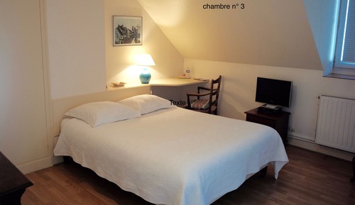 Habitación doble (3)