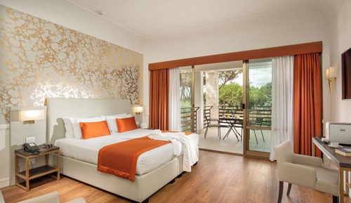 Habitación Deluxe con 1 cama doble o 2 individuales