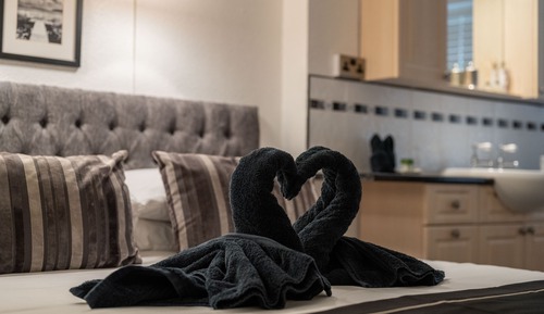 Superior Double Room : The Monochrome Room (Ground Floor)