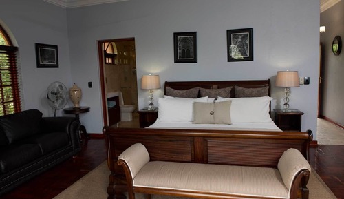 Suite Deluxe, 1 habitación