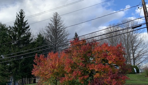 Windham Mountain and Garden View - 3