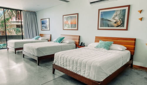 Triple Room, Multiple Beds, Terrace, view of a lush and vibrant tropical garden.