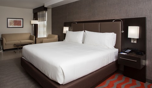 Suite, 1 cama de matrimonio grande (Communications, Roll-In Shower)
