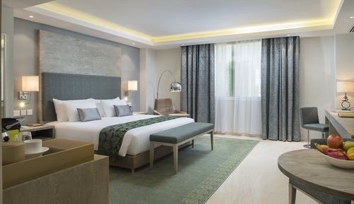 Suite ejecutiva, 1 cama de matrimonio grande
