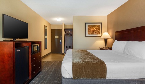 Habitación estándar, 1 cama de matrimonio grande, no fumadores, microondas
