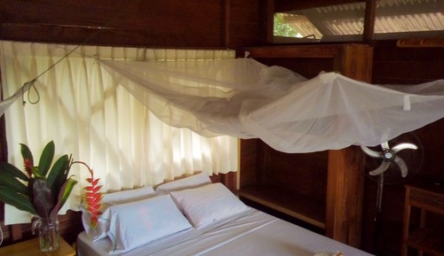 Suite junior, frigorífico, vistas al río
