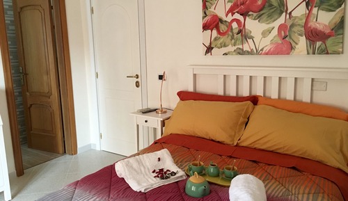 Habitación Confort doble, vistas al jardín