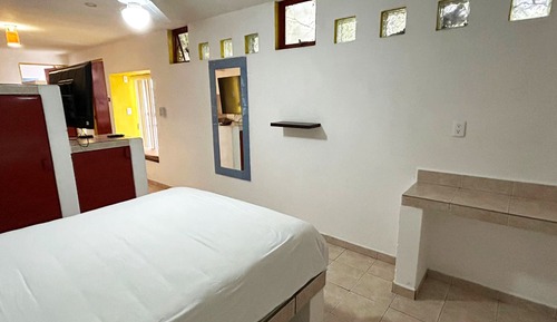 Apartamento ejecutivo, 1 cama de matrimonio, frigorífico y microondas